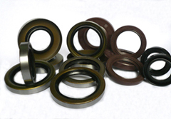 Oil Seal